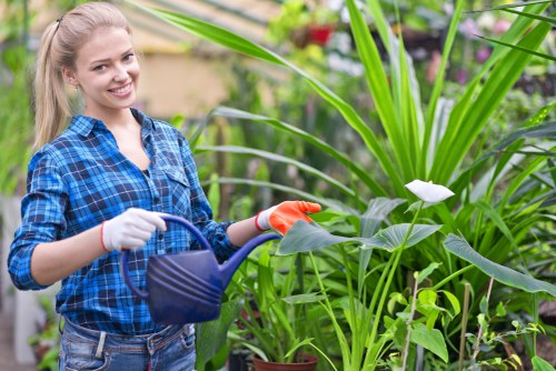 Garden design and build project ideas for a Hammersmith home