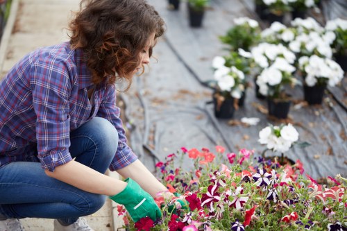 Ongoing accessibility commitment for Hammersmith landscaping