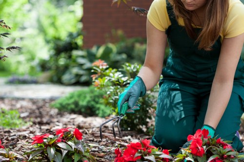 Screen-reader friendly garden services information