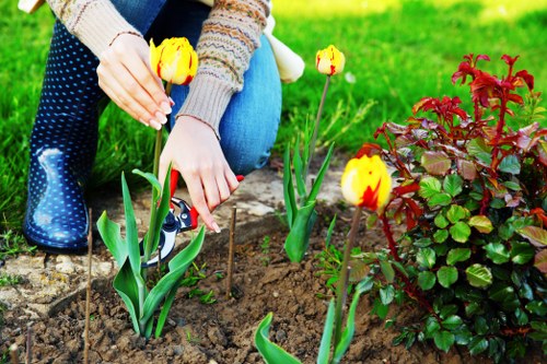 Waste handling and site preparation for landscaping work