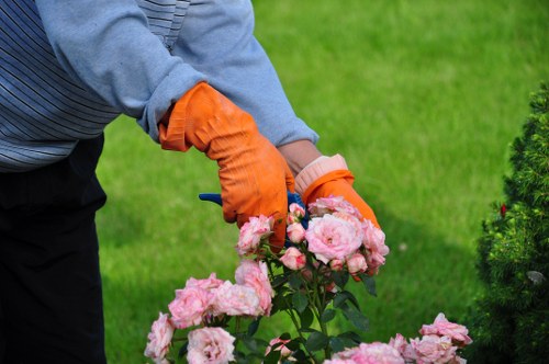 Professional discussing resolution options for a landscaping complaint
